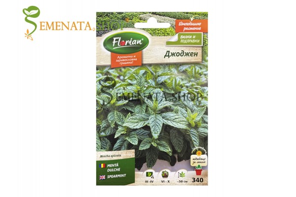 Семена от Джоджен за саксия и сандъче с наситен характерен аромат - Mentha spicata